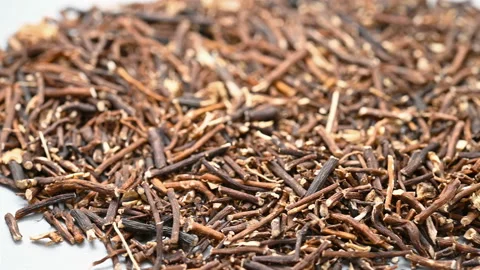 Angle pan view herb WeiLingXian or Clematidis Radix et Rhizoma or Chinese Cle Stock Footage 154876700