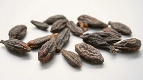 Angle pan view herb XiQingGuo or Chebulae Fructus Immaturus or Immature fruit Stock Footage 154876834