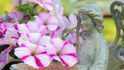 Angle statue flower garden wind hd footage Stock Footage 108785642