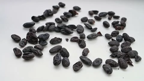 Angle view DanDouChi or Sojae Semen Praeparatum or Fermented Soybean rotating Stock Footage 201580301