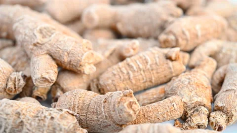 Angle view ginseng rotating horizontal composition Stock Footage 161365487