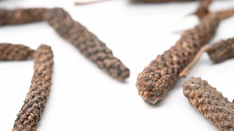 Angle view herb BiBa or Piper longum Linn. or Fructus Piperis Longi rotating Stock Footage 164190416