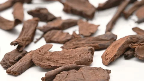 Angle view herb DiYuTan or Sanguisorbae Radix Carbonisata or Carbonized Longl Stock Footage 155337216