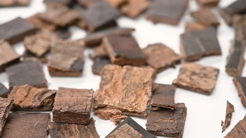 Angle view herb DuZhong or Eucommiae Cortex or Eucommia Bark rotating Stock Footage 155572139