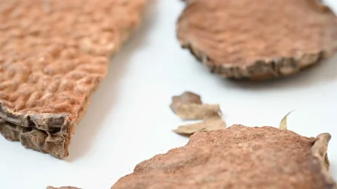 Angle view herb HuangYaoZi or Dioscorea Bulifera or Air Potato rotating Stock Footage 167104838