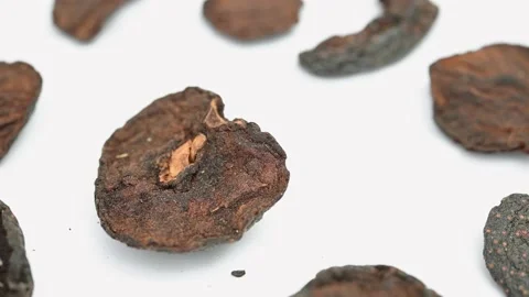 Angle view herb JiaoShanZha or Crataegi Fructus or  stir-frying to brown Chin Stock Footage 172293670