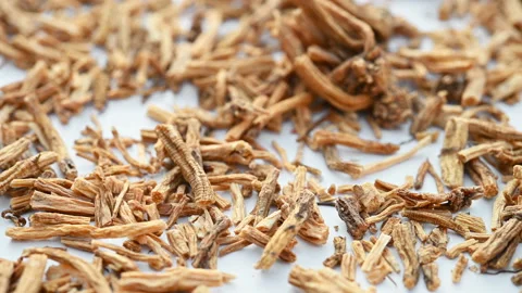 Angle view herb LongDan or Gentianae Radix et Rhizoma or Chinese Gentian Root Stock Footage 166141269