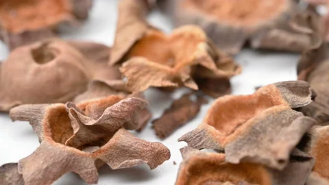 Angle view herb ShiDi or Kaki Calyx or Persimmon Calyx and Receptacle rotatin Stock Footage 156592616