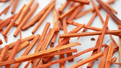 Angle view herb SuMu or Sappan Lignum or Sappan Wood rotating Stock Footage 166143714