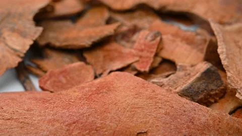Angle view herb TuFuLin or Smilacis Glabrae Rhizoma or Glabrous Greenbrier Rh Stock Footage 155818780