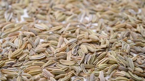 Angle view herb XiaoHuiXiang or Foeniculi Fructus or Fennel Fruit rotating Stock Footage 157192150