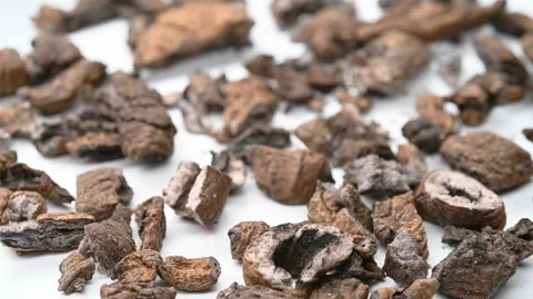 Angle view herb YanBaJiTian or Morindae Officinalis Radix or Salty Medicinal Stock Footage 158592177