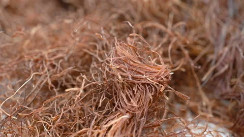Angle view herb YuMiXu or Stigma Maydis or Corn Silk rotating Stock Footage 156365606