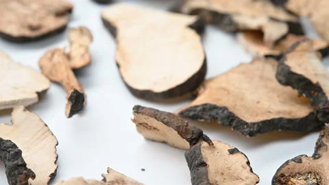 Angle view herb ZhuLing or Polyporus or Agaric rotating Stock Footage 158592723