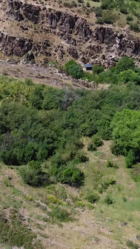 Angle view of rocky gorge edge and dense green thickets in Kazakhstan Видео 338125116