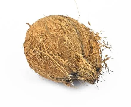 Angle view of a rustic coconut in the middle of an isolated white background Stock Photos