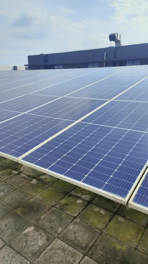 Angle view solar panels at vertical composition in a day time Stock Footage 311526713