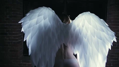 Angle with white wings Stock Footage 132961022