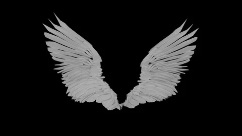 Angle wings white idle front Stock Footage 340281239