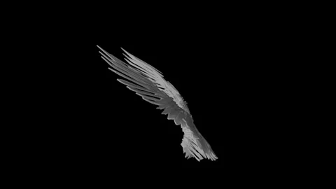 Angle wings white idle side Stock Footage 340281237