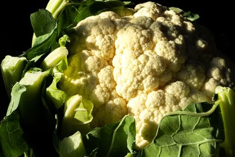 Angled Close-Up of Head of Cauliflower Foto stock