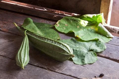 Angled gourds fresh Stock Photos