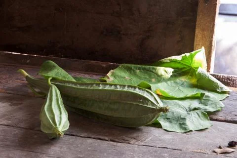 Angled gourds fresh Stock Photos