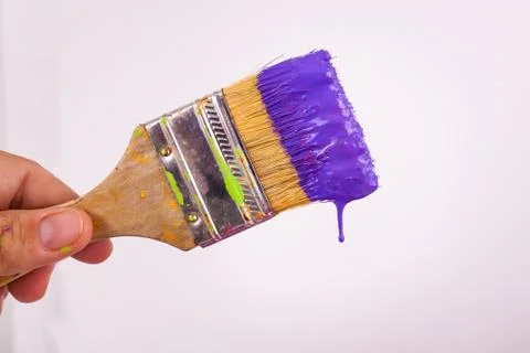 Angled paintbrush hand held dripping purple paint Stock Photos