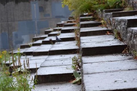 Angled Shale Steps Stock Photos