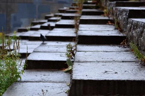 Angled Shale Steps Stock Photos