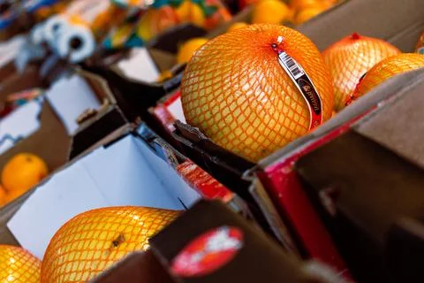 An angled shot of oranges in crates Stock Photos
