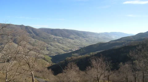 Angled view on straight valley of cherry tree plantations Stock Footage 49653316