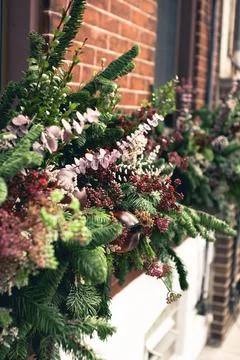 Angled window box arrangement filled with winter seasonal flowers and plants Stock Photos
