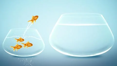 Anglefish jumping to Big bowl Stock Photos