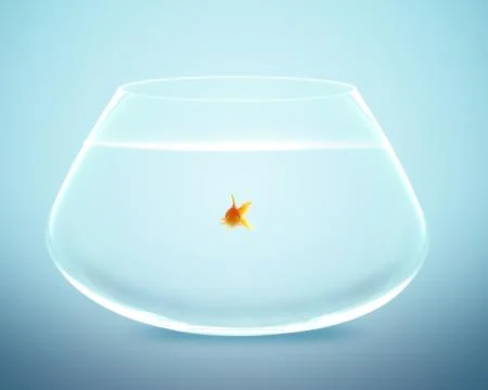 Anglefish jumping to Big bowl Stock Photos