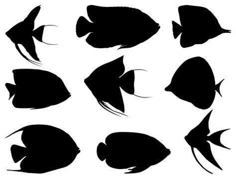 ANGLEFISH SILHOUETTE VECTOR ART Stock Illustration