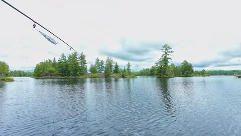 Angler casting rod with artificial baitfish lure for big mouth bass in the .. Video stock 291459853