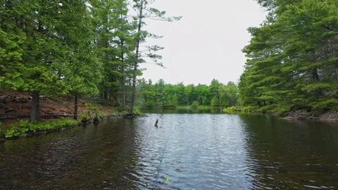 Angler casting rod with artificial baitfish lure for big mouth bass in the .. Video stock 291470057