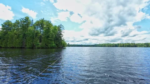 Angler casting rod with artificial baitfish lure for big mouth bass in the .. Video stock 291471203