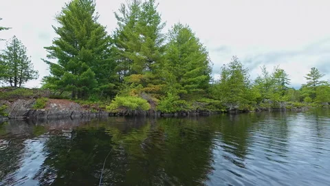 Angler casting rod with artificial baitfish lure for big mouth bass in the .. Video stock 291477336