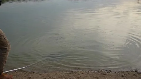 Angler fighting a fish which comes up near surface Stock Footage 228671527