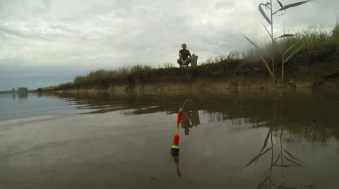 Angler fish Video stock 43008385