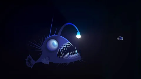 Angler fish using light bulb symbol as a, Stock Video