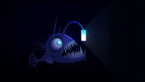 Angler fish using smartphone as a lure. Stock Footage 108872981