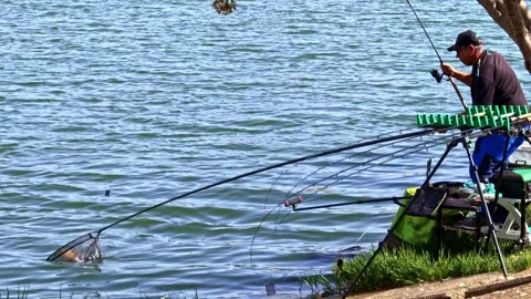 Angler landing large fish during Guadalquivir River tournament Stockbeeldmateriaal 336101094