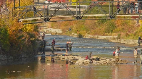 Anglers using bobber or float for salmon and trout. Fishermen in waders sta.. Stock Footage 293861506