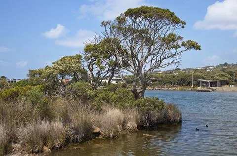 Anglesea River at Anglesea, Victoria, Australia Stock Photos