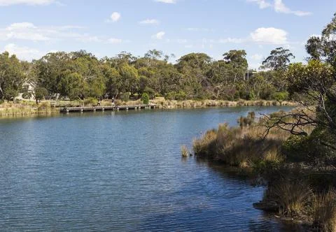 Anglesea River, Great Ocean Road, Victoria, Australia Foto stock