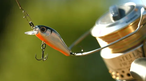 Angling bait 스톡 동영상 51030102