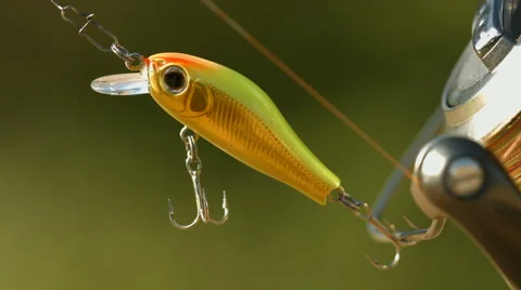 Angling bait Stock Footage 51030229